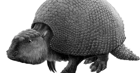 Paleoart: Glyptodon, a large extinct armadillo from the Pleistocene in South America