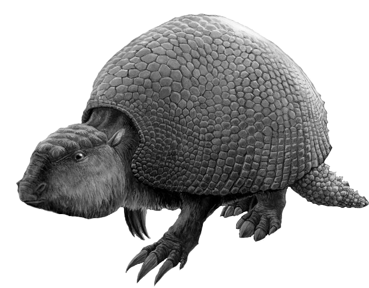 Paleoart: Glyptodon, a large extinct armadillo from the Pleistocene in South America